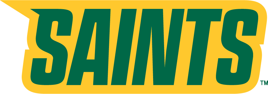 Siena Saints 2023-Pres Wordmark Logo v13 diy iron on heat transfer